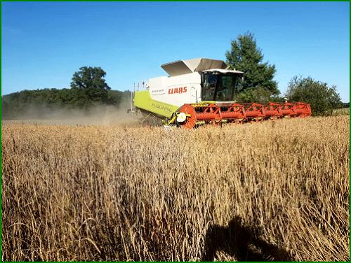 claas__1667410171.jpg